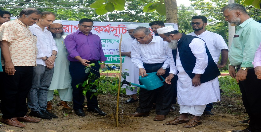 Tree plantation program held at CUET.